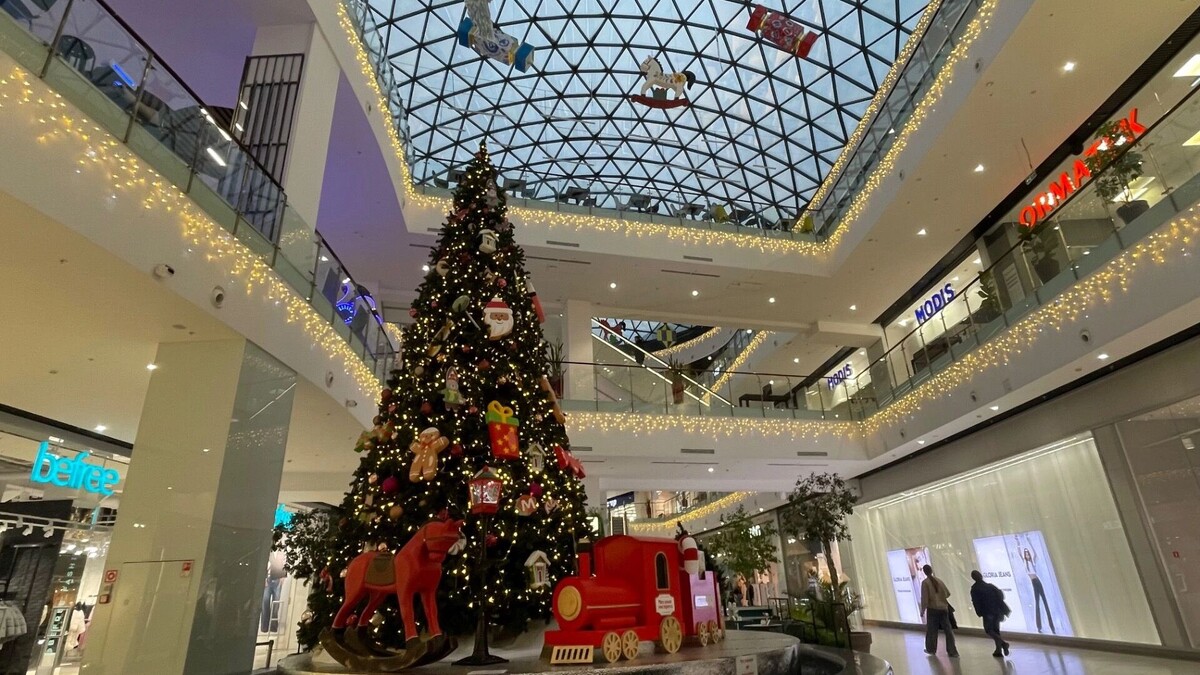    Стал известен режим работы торговых центров Ростова 31 декабря и 1 января   rostovgazeta.ru