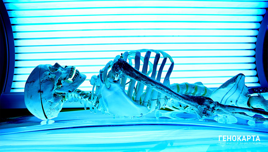 TomKatoo // shutterstock.com