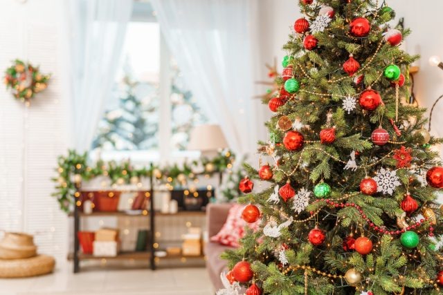Хитрости, чтобы сохранить новогоднюю ёлку до конца праздников  📷
