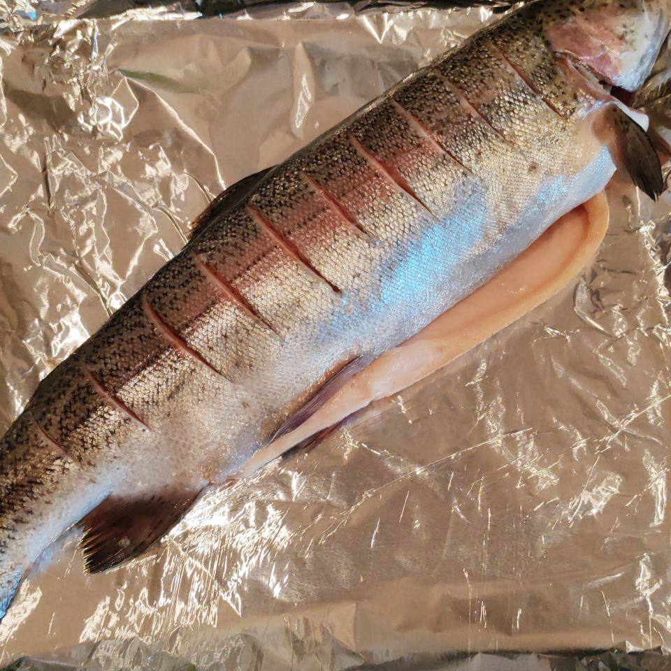 Радужная форель