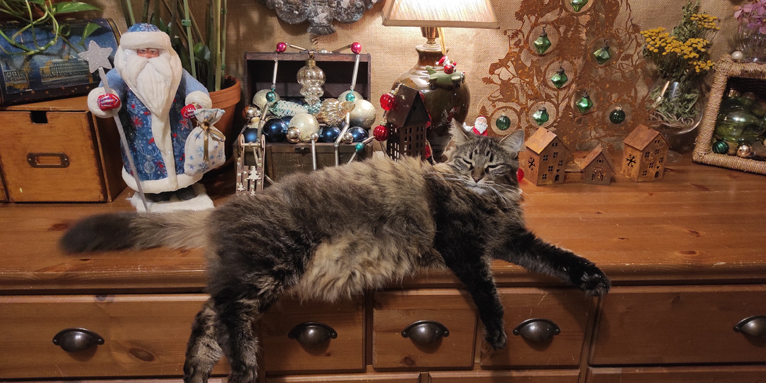 29.12.2025г. Предновогодние хлопоты, грязнуля Купер и винтажная гирлянда