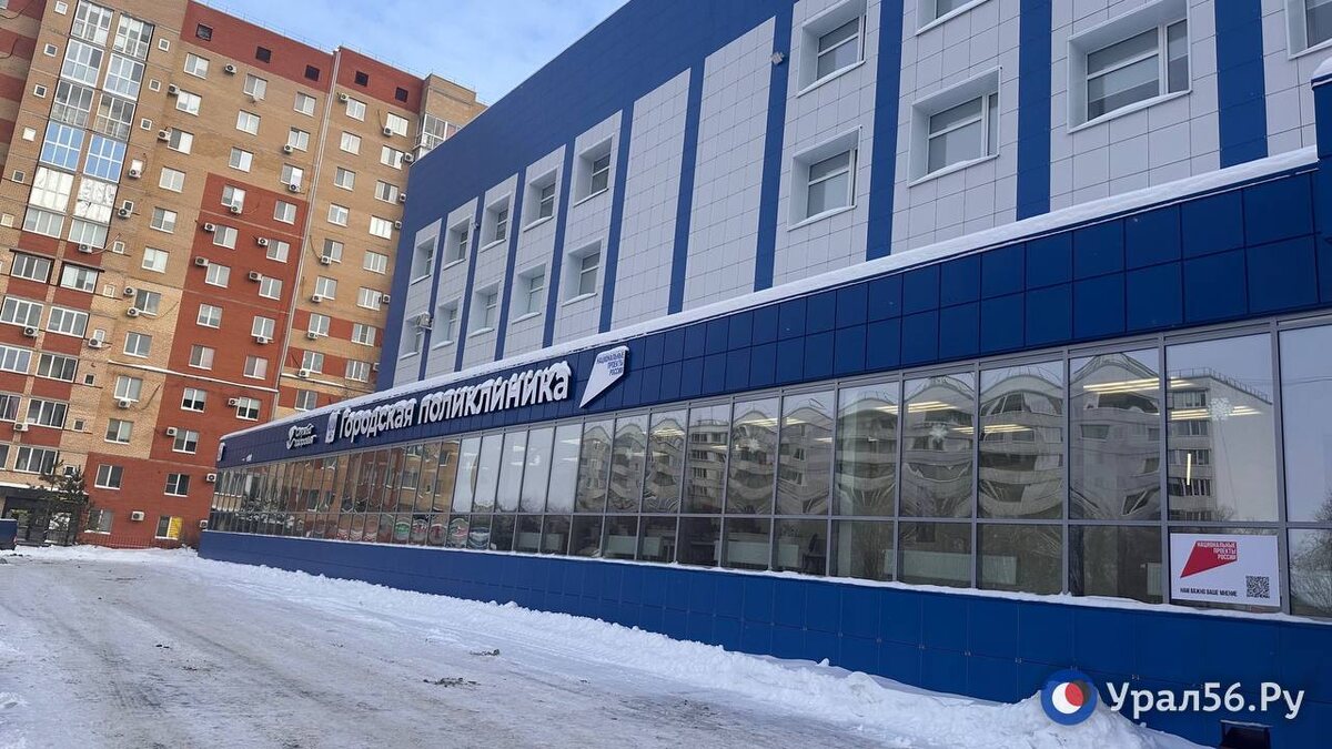    Жители Оренбурга жалуются на вырубку деревьев у поликлиники №2