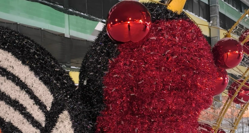    Снегирей за 1,8 миллиона рублей установили на Рябиновом Бульваре