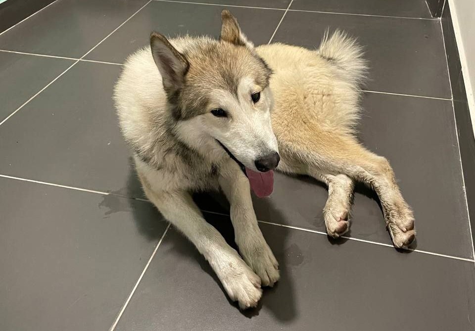     Фото: телеграм-канал «Протяни руку помощи»