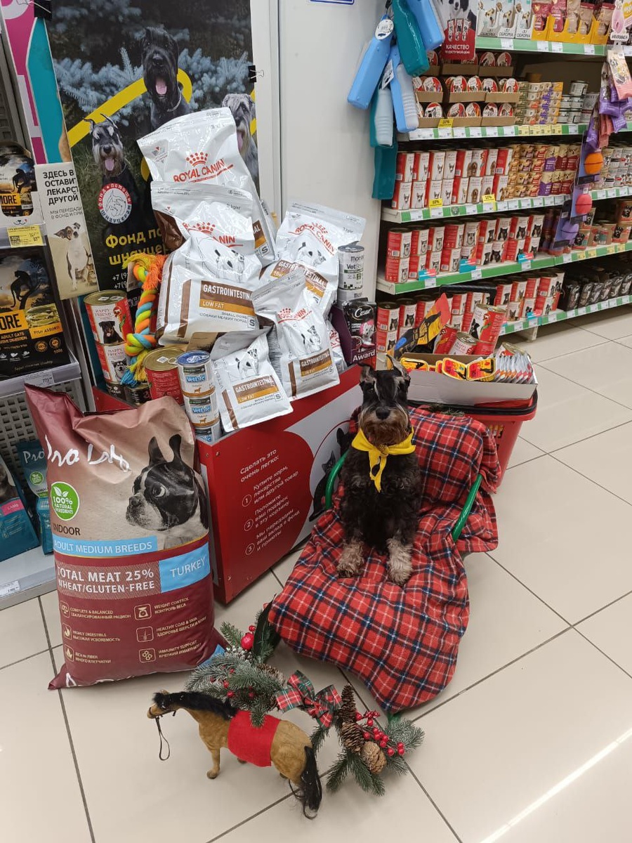 "Главный вымогатель" и "профессиональный нищий", он же гуру благотворительных акций -  Сенечка