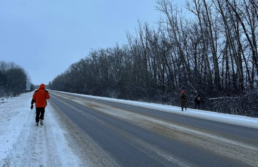     Фото: "ЛизаАлерт"