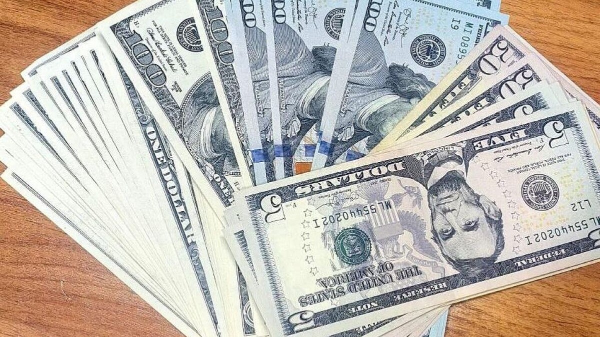    Фото: телеканал «Краснодар»