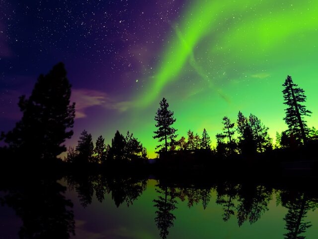    Фото: depositphotos/surangastock