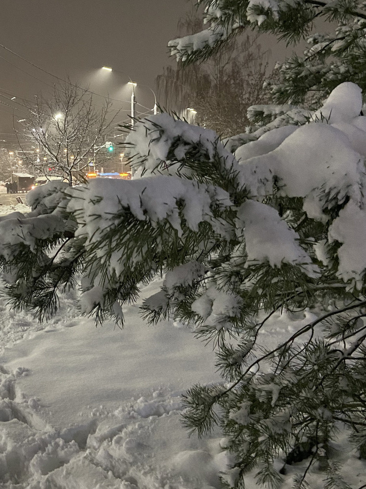     Фото: «МК Черноземье»