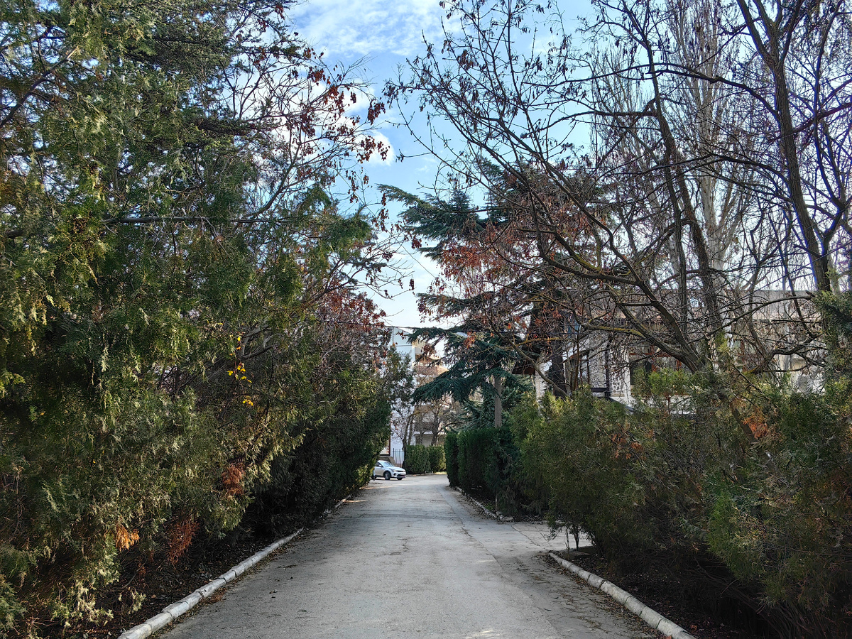 Сегодня. Фото автора канала