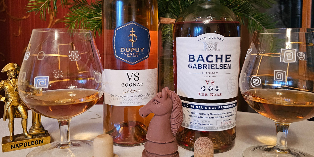 Сравнительная дегустация коньяков Dupuy VS и Bache Gabrielsen Tre Kors. Почему выбрал именно их и что хотел узнать