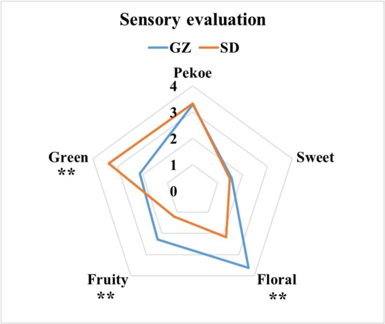 pmc.ncbi.nlm.nih.gov