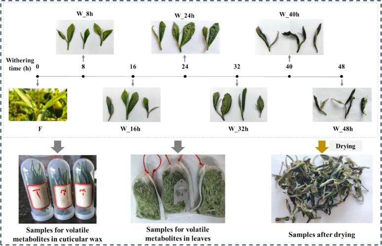 pmc.ncbi.nlm.nih.gov