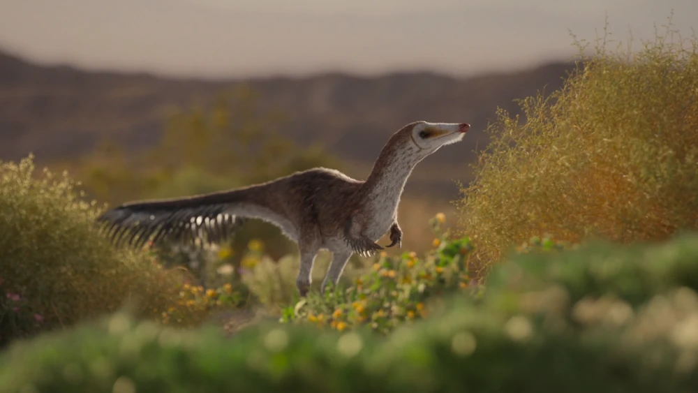 Мононик - самый известный альваресзаврид, появившийся в сериале "Доисторическая планета"