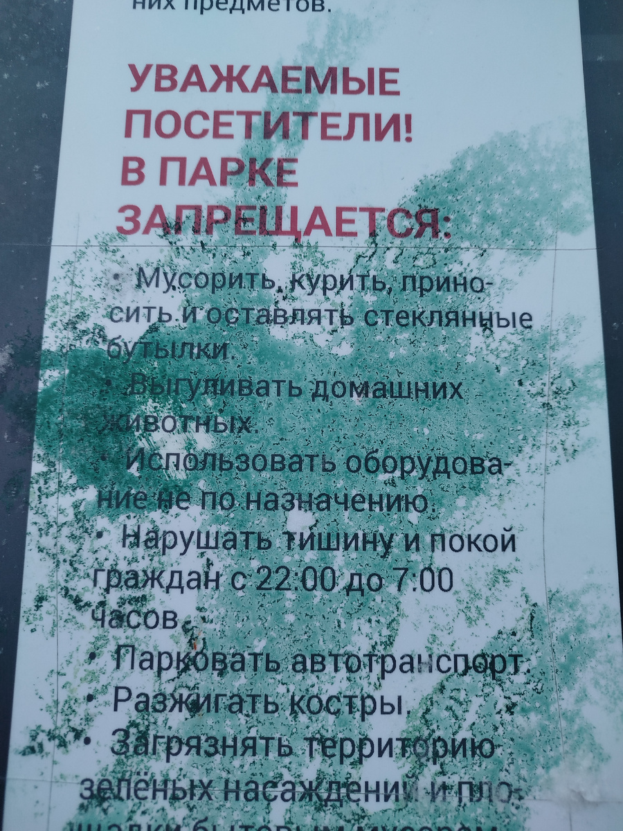 Фото автора 01.01.2026