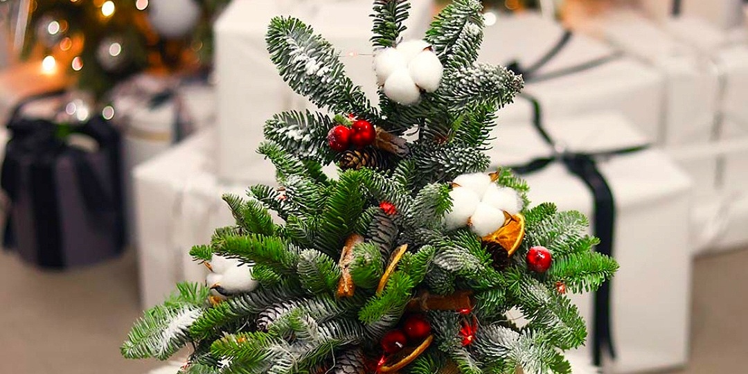 Показываю, какие «живые» подарки к Новому году я заказала. От них в восторге будут не только женщины, но и мужчины!