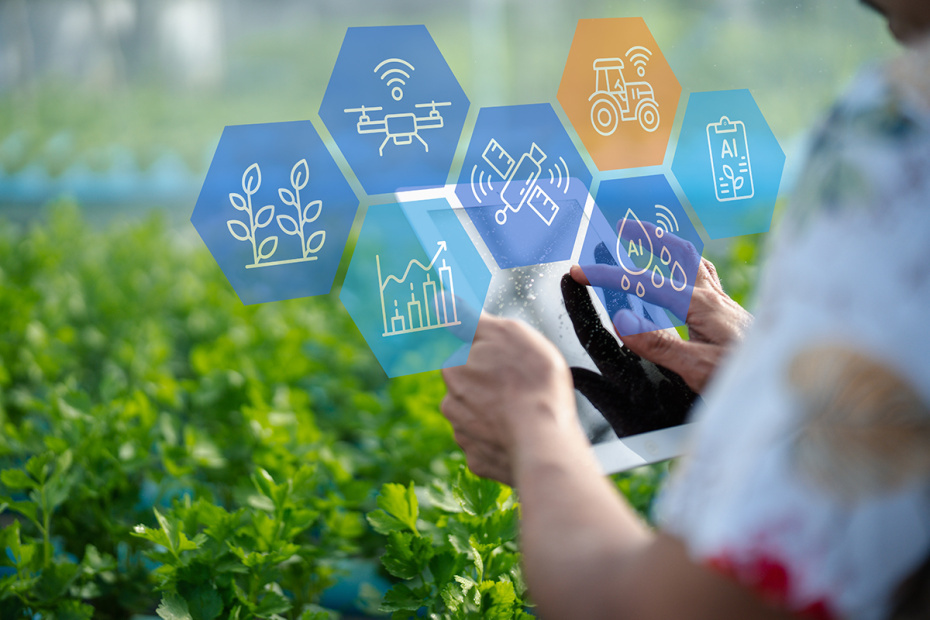    Shutterstock/FOTODOM