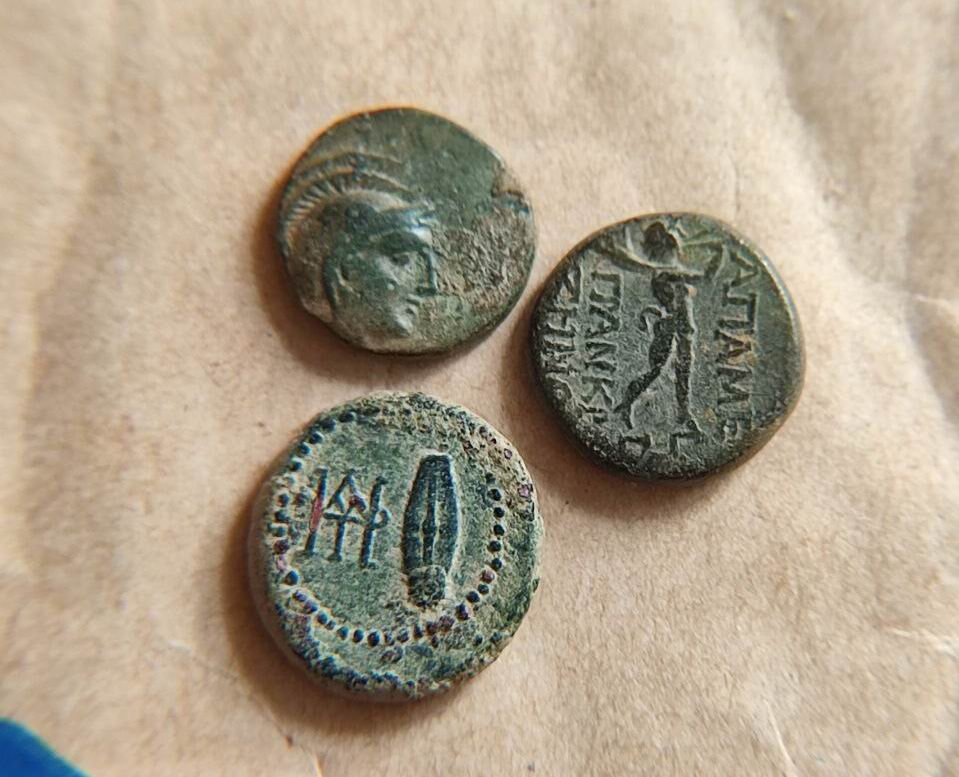 Античные монеты полисов из коллекции автора