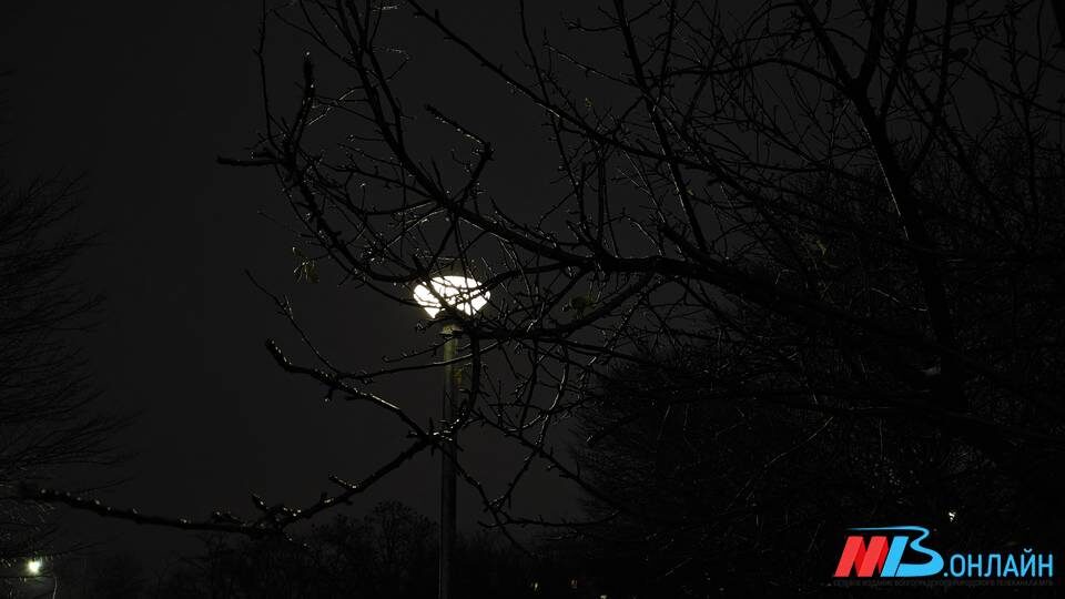    Фото: МТВ.ОНЛАЙН / Елизавета Денисова