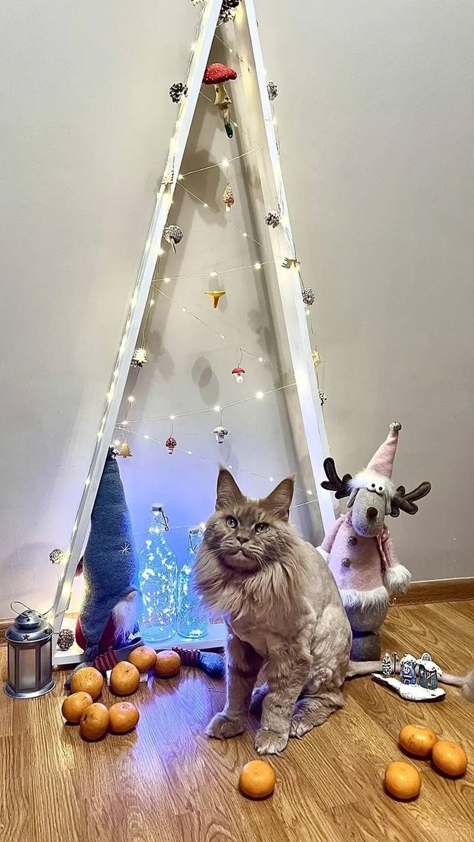    Зевс нашел новых заботливых хозяев. Фото: личный архив