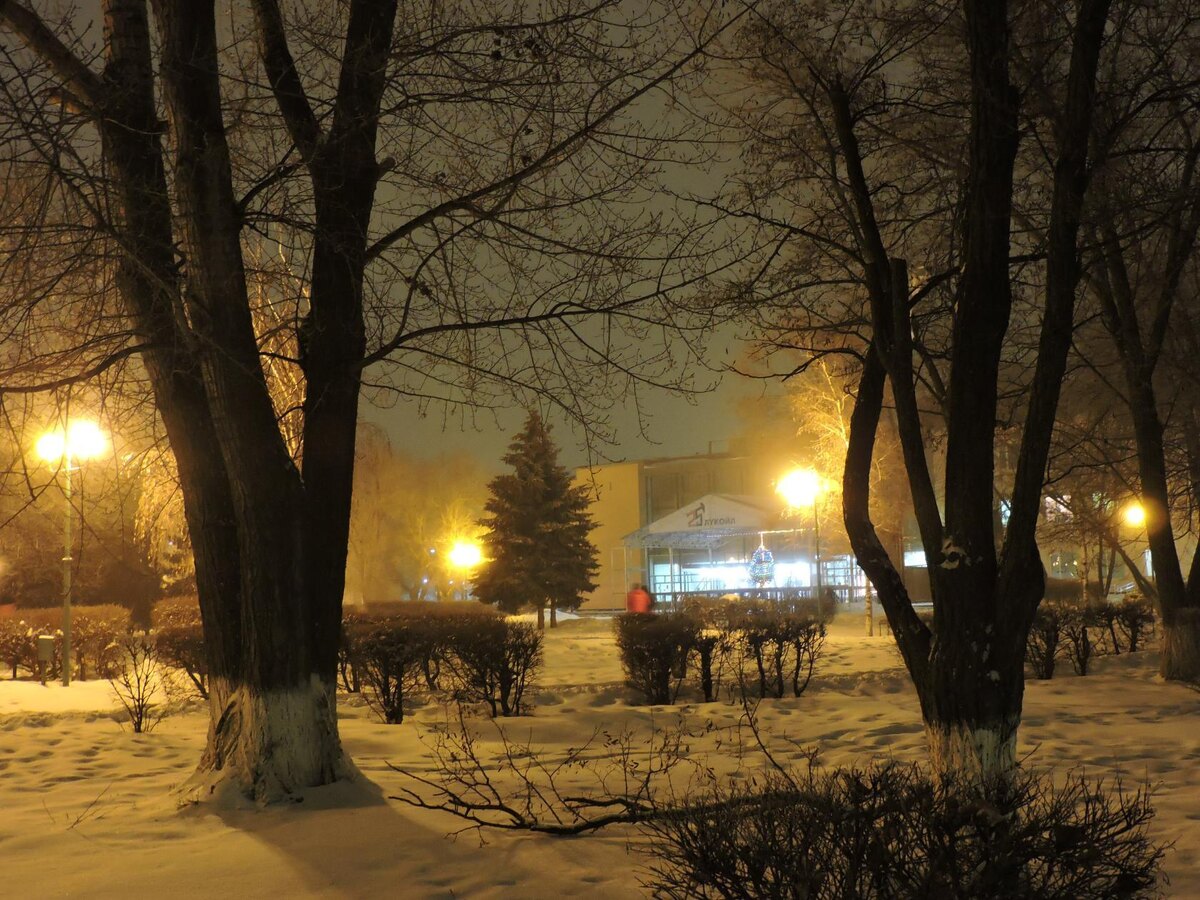 Фото автора