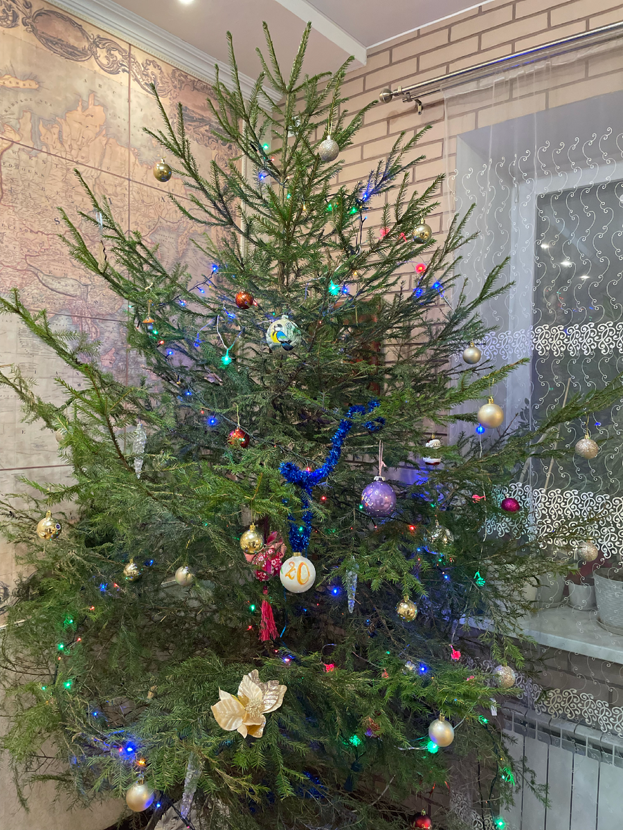 Наша елочка в этом году