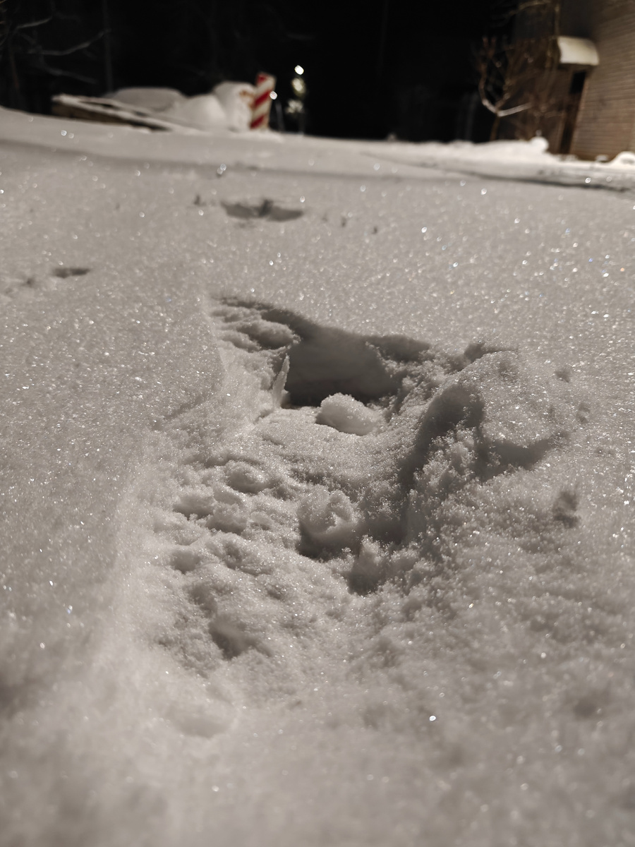 След на холодном снегу. Идея автора не понятна. Задумка была, но не получилась, возможно в другой раз смогу реализовать, если вспомню. 