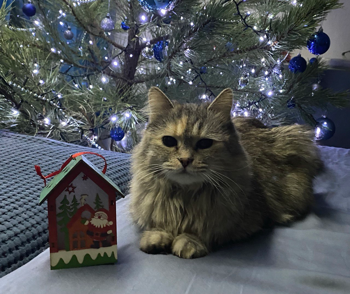 10 января 2025 г.  Фото автора