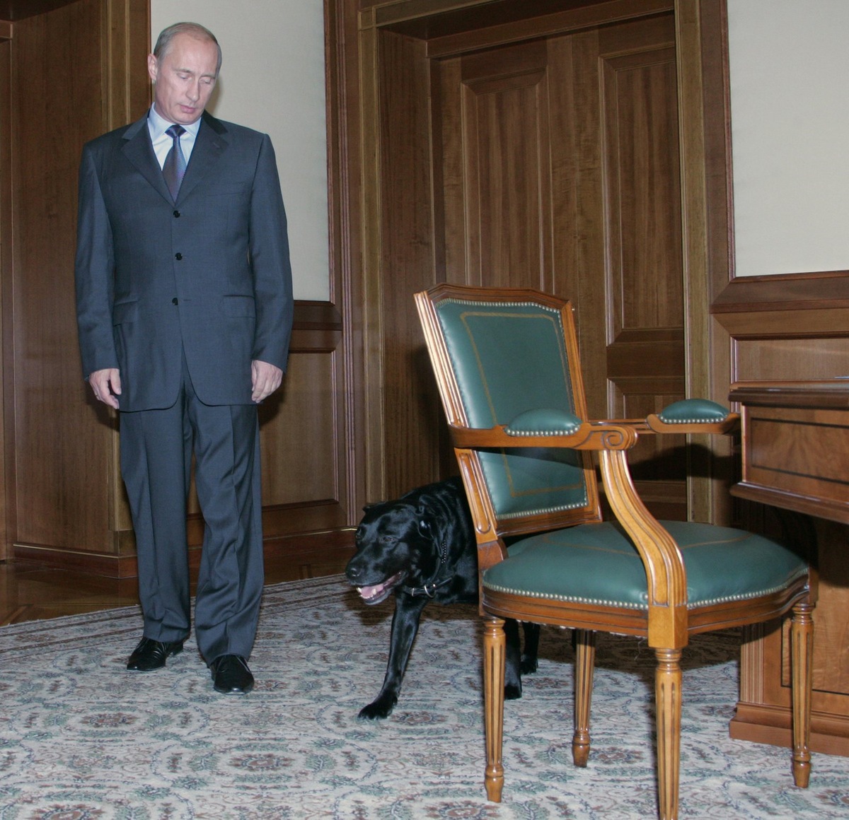    Лабрадор Конни — первая собака Владимира Путина на посту президента