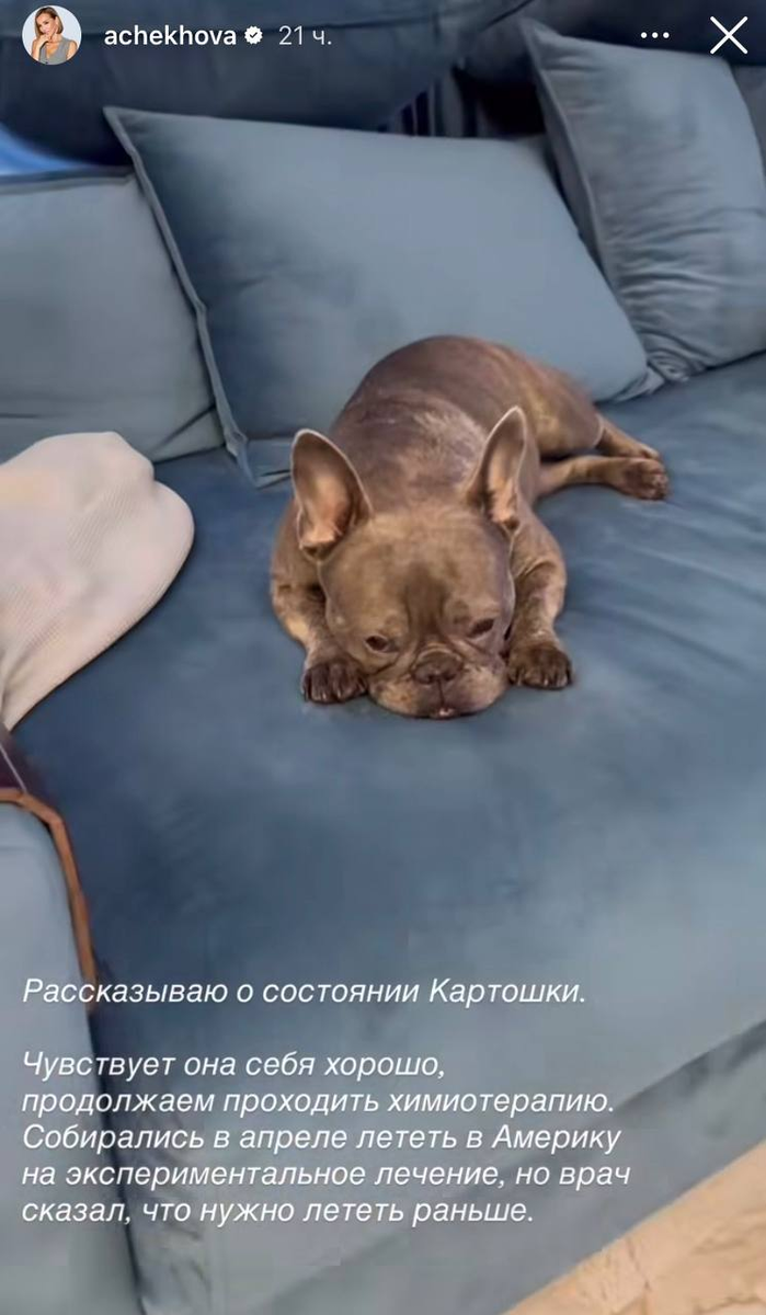 Публикация Анфисы Чеховой в запрещенной соцсети.