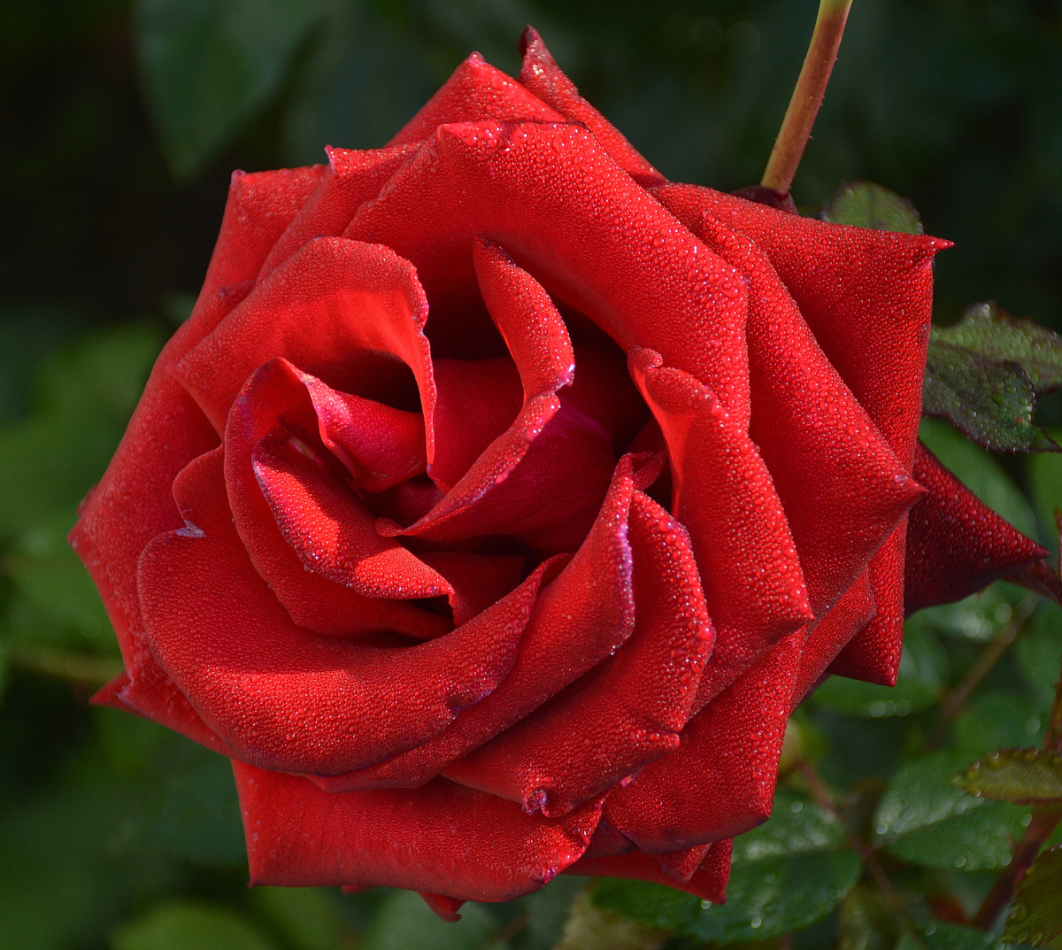 Фото датируется 14 сентября 2025 года. 