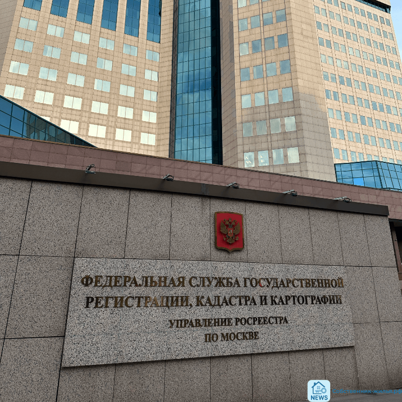 | фото © ISO M-P group