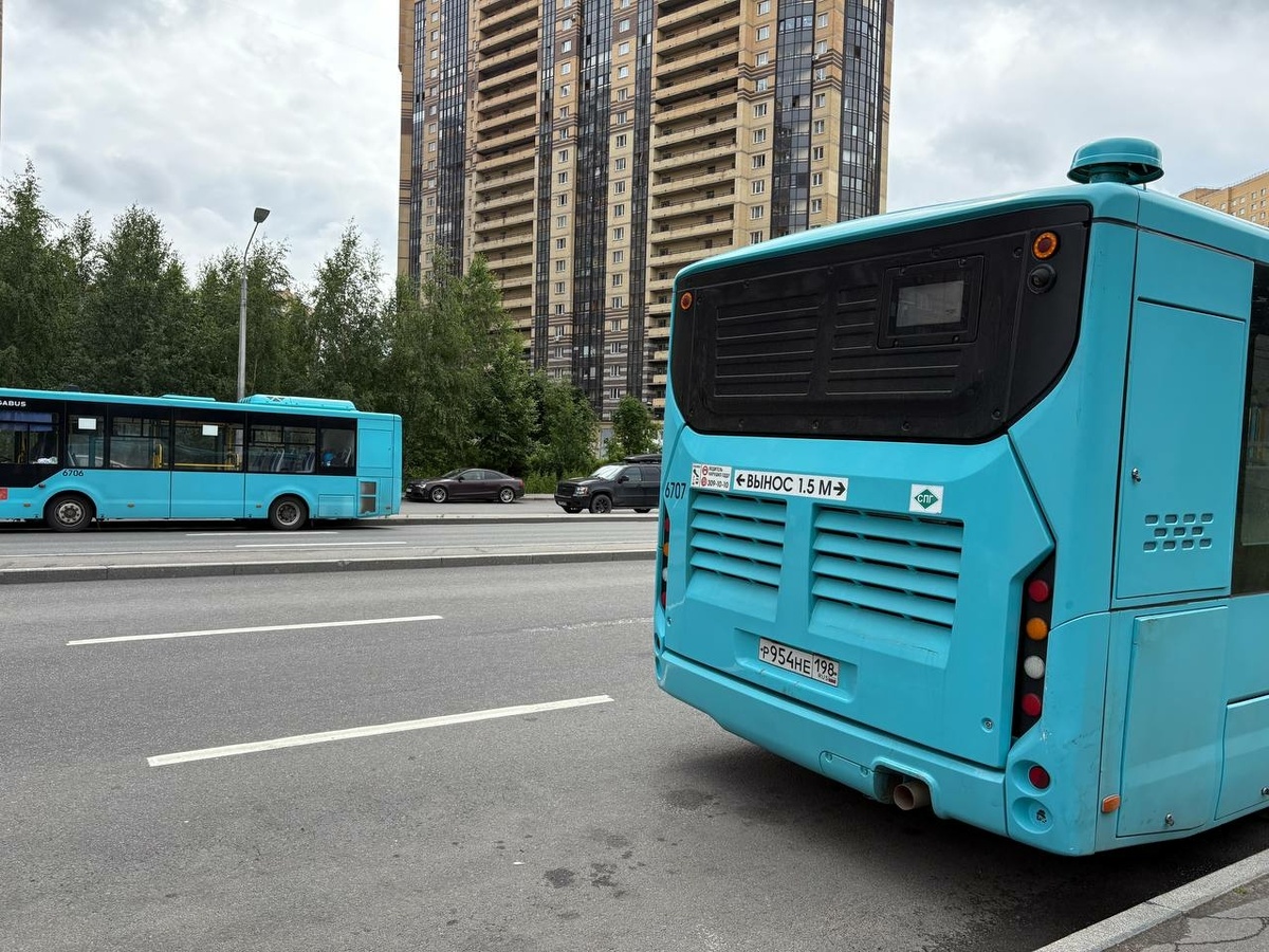 Фото: Neva.Today