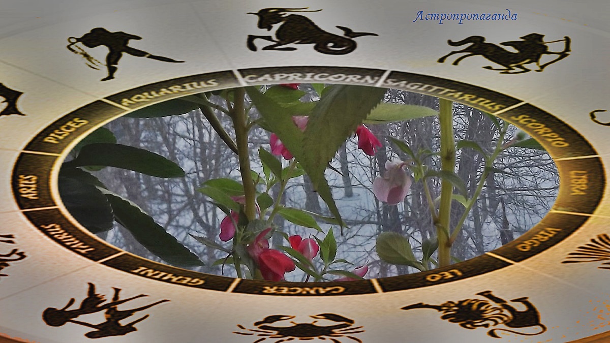 Гороскоп с 29 декабря 2025 по 4 января 2026: квадратуры Меркурия и его переход в знак Козерога | Недельный гороскоп