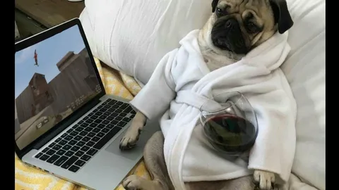 фото из соцсетей