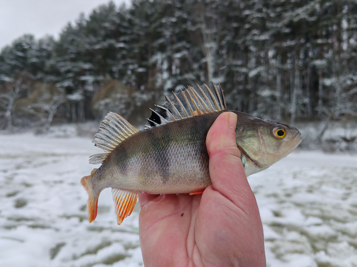 Не самый крупный в тот день