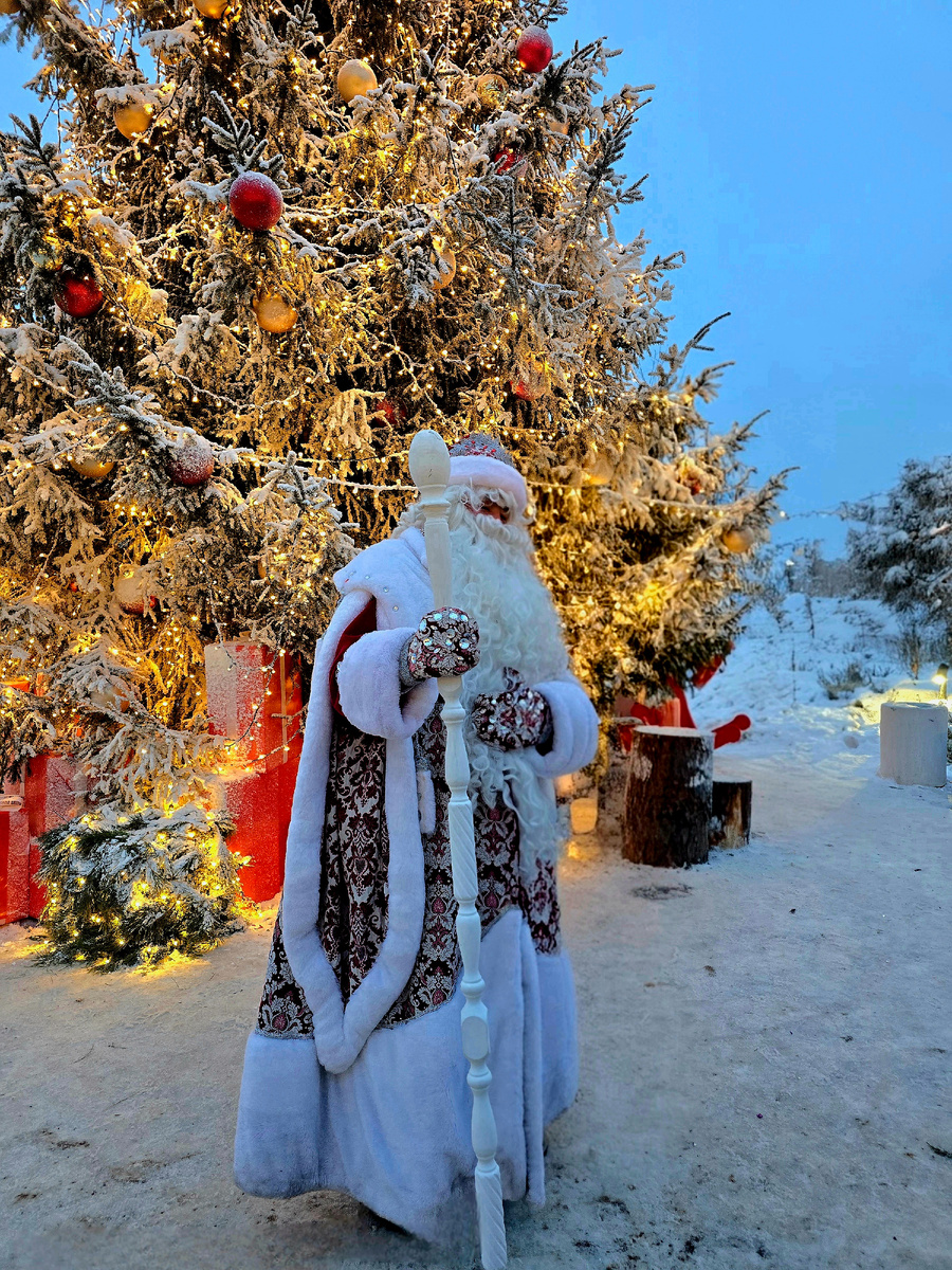 #новогоднее