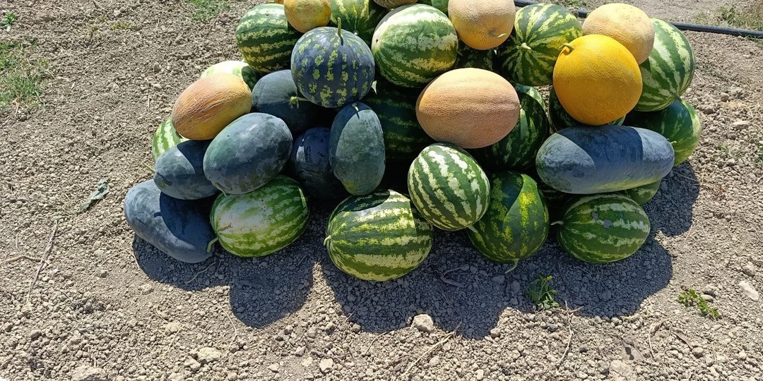 🍀 Добро пожаловать в потребительский кооператив «Дары Байдар