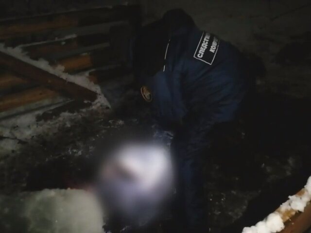    Фото: телеграм-канал "СК Подмосковья"