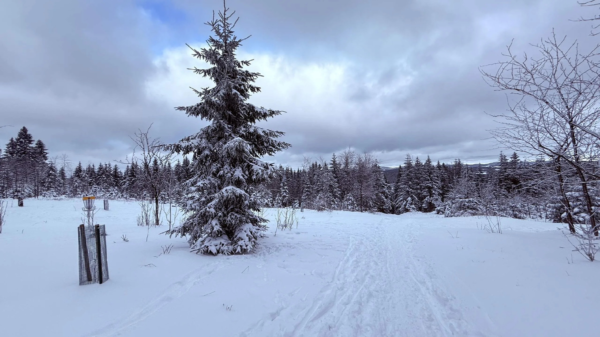 Горнолыжный курорт Винтерберг  расположен в Зауэрланде (Германия) декабрь 2024