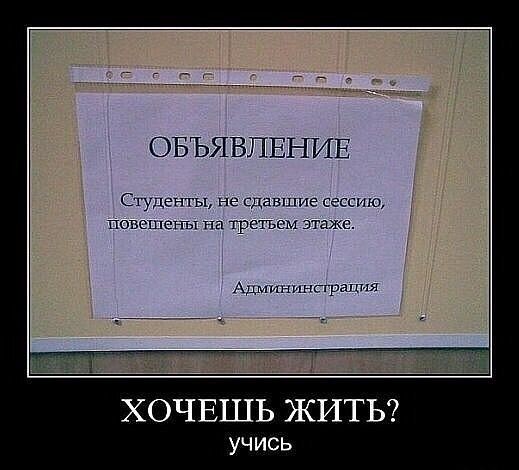 Сдать сессию - самый лучший подарок студента самому себе на Новый год.