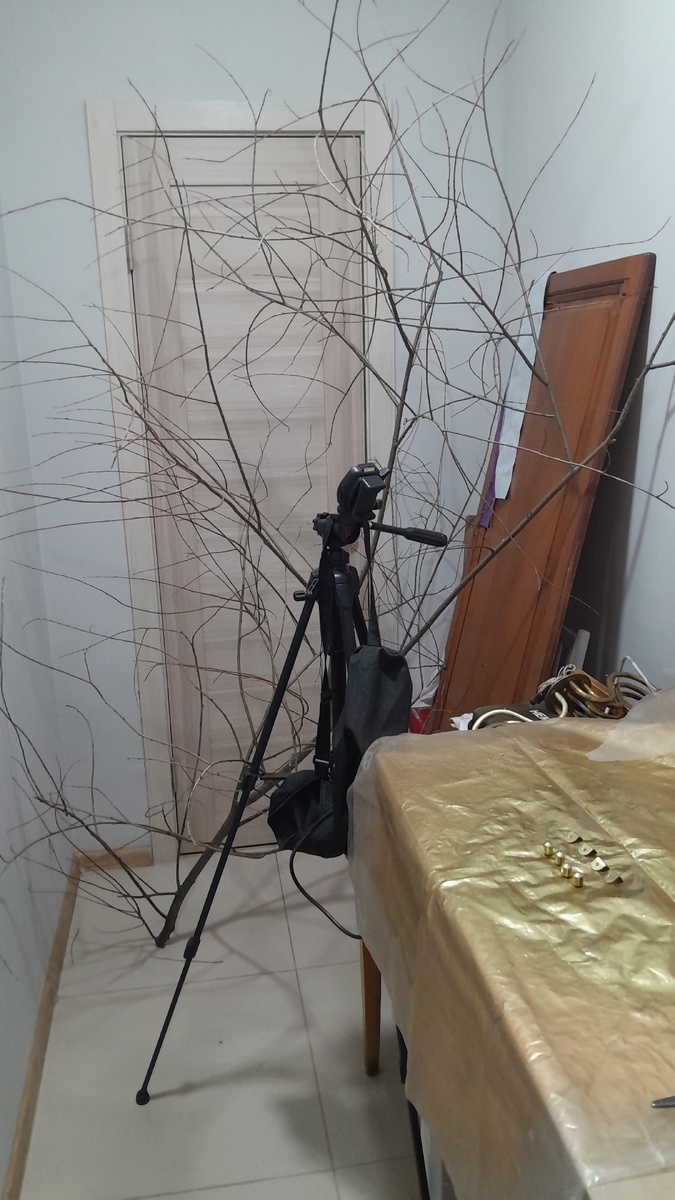 Ветки под потолок!