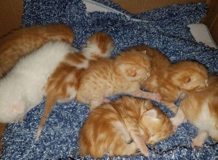 Дом на краю.