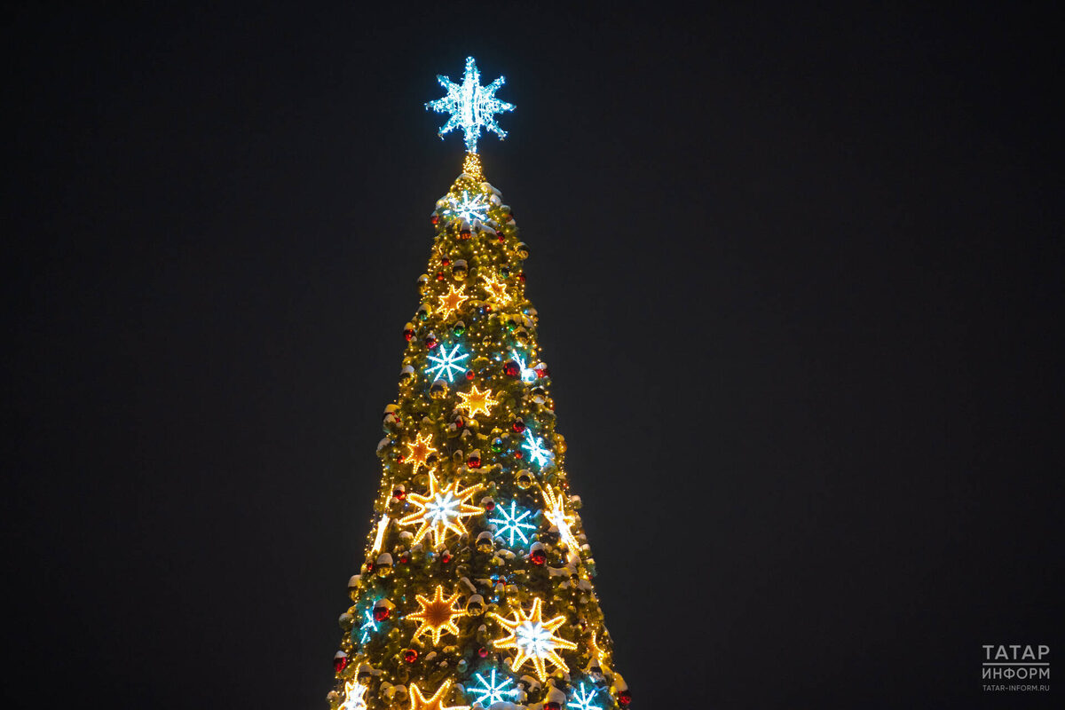 Фото: © Владимир Васильев / «Татар-информ»