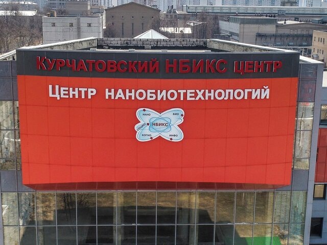    Фото: ТАСС/Валерий Шарифулин