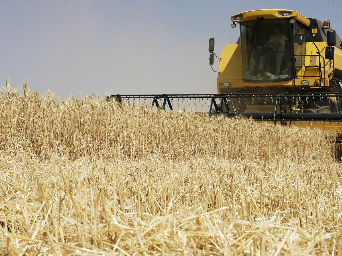    Уборка урожая зерновых культур© РИА Новости . Сергей Венявский