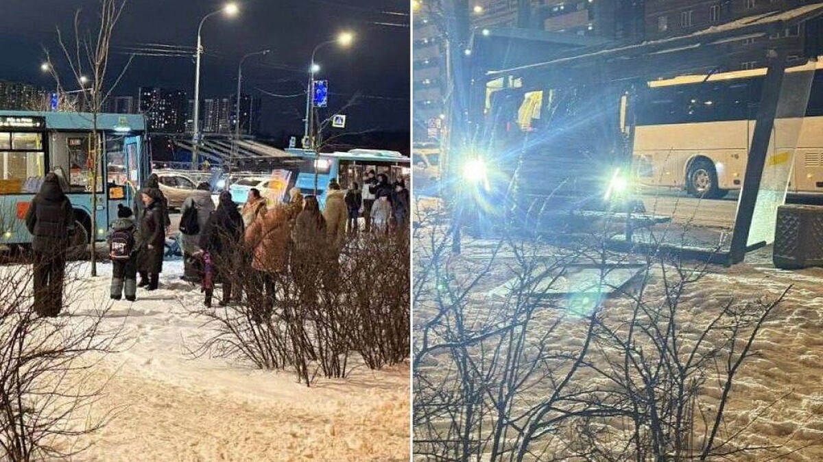    Фото: t.me/mashmoyka