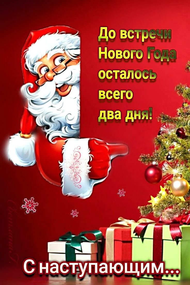 Фото из открытого источника