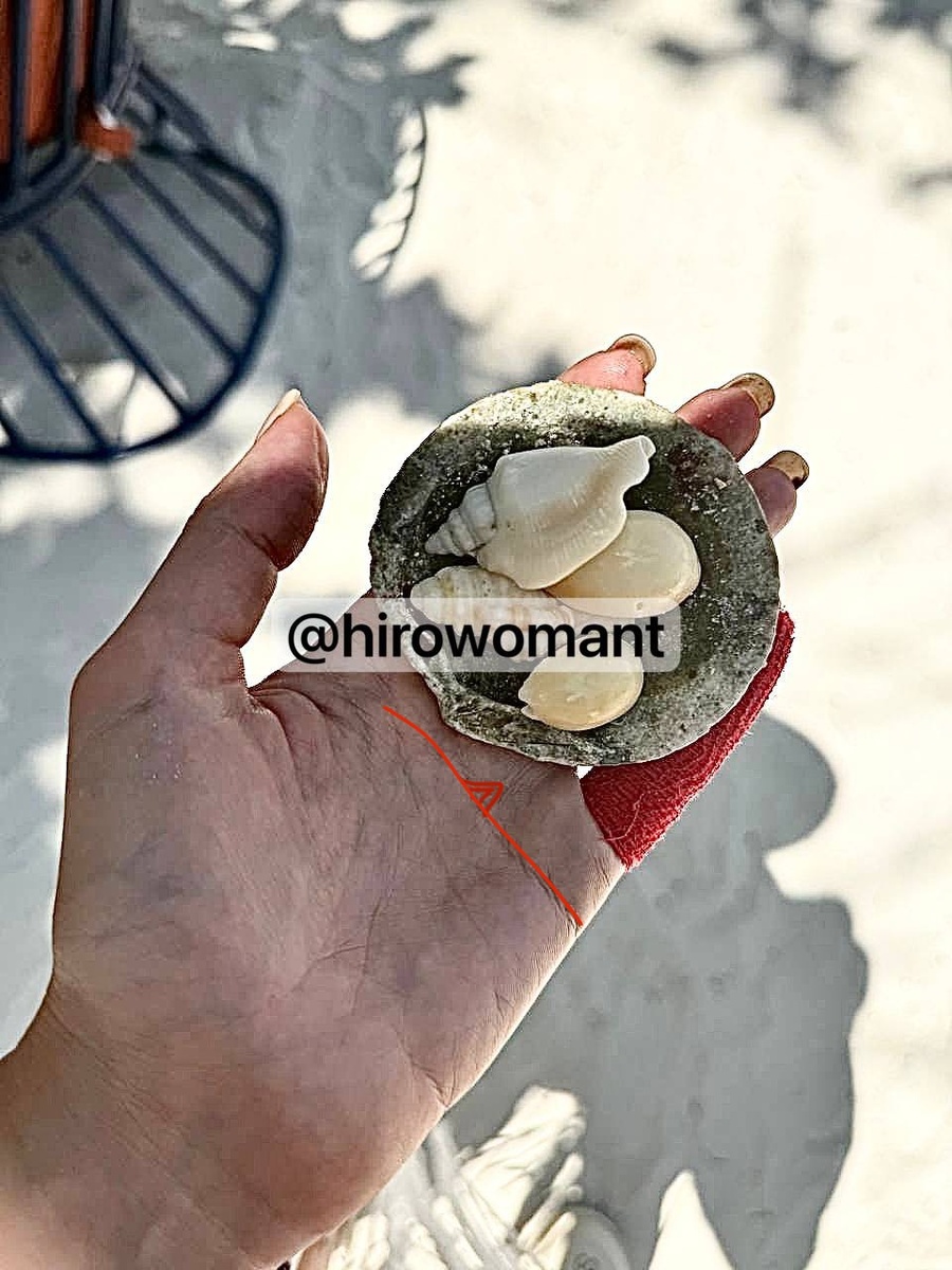 Ладонь Полины Дибровой. @Hirowomant