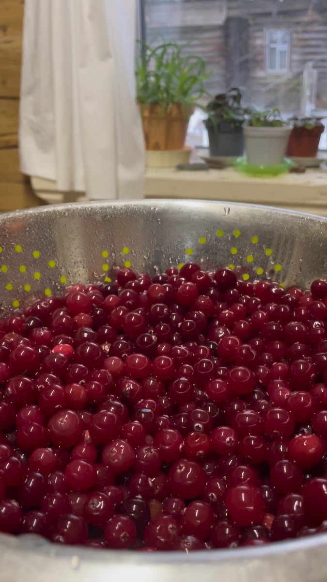 Хороша клюковка зимой